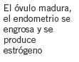opcion2