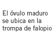opcion3